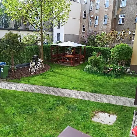 Paprotka 100m Legnica