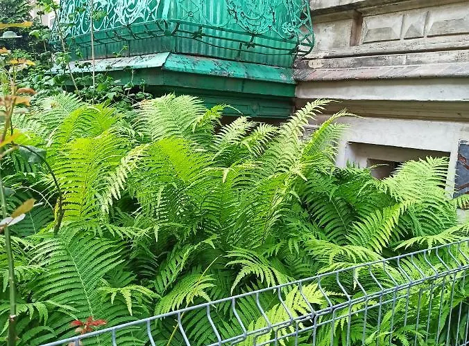 Apartment Paprotka 100m Legnica